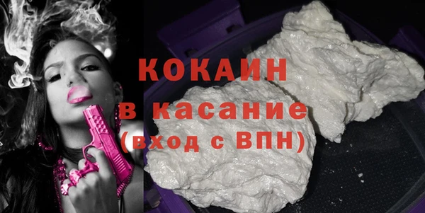 шишки Березники