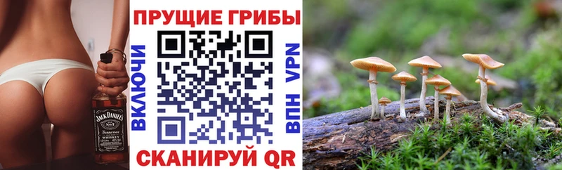 kraken ссылки  Городище  Псилоцибиновые грибы мухоморы 